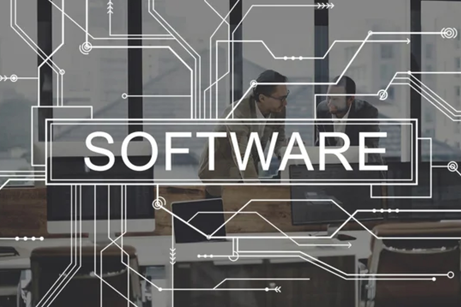 software-dev software-dev